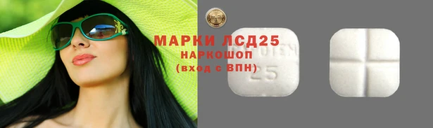 spice Абаза