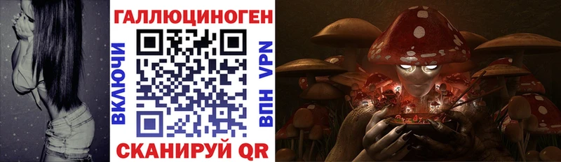 купить наркоту  Инта  Псилоцибиновые грибы MAGIC MUSHROOMS 
